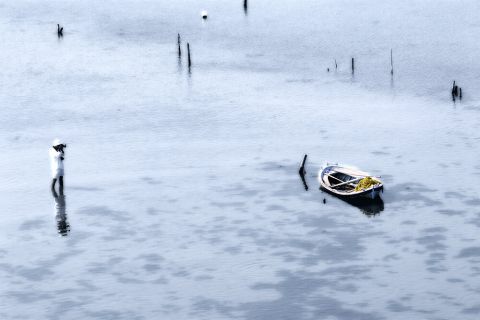  Collections 01.08.2025 - 19:04