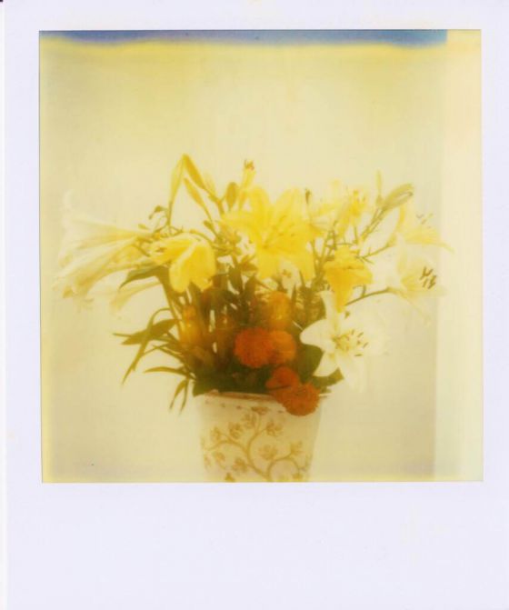  Blumen in bemalter Vase 28.05.2024 - 19:04