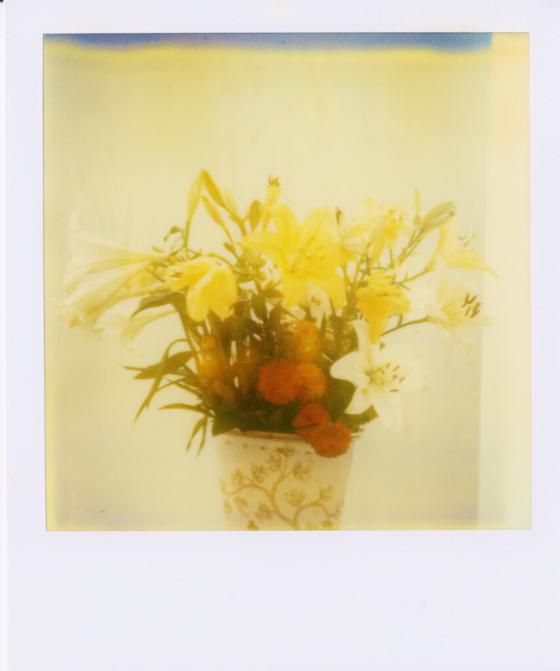  Blumen in bemalter Vase 09.12.2021 - 22:31